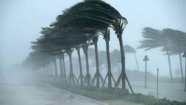  যেসব জেলায় ঝড়ের আভাস সন্ধ্যার মধ্যে