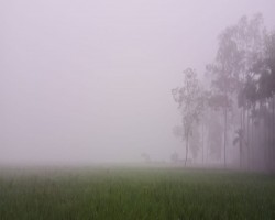 দেশের উত্তর-পশ্চিমাঞ্চল দিয়ে শুরু হচ্ছে শীত