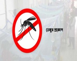 সিলেটে দিন দিন বাড়ছে ডেঙ্গুর প্রকোপ