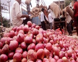 আজ থেকে পেঁয়াজ আমদানির অনুমতি দেবে সরকার