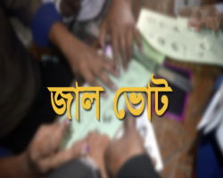 জাল ভোট দিতে গিয়ে আটক ৩  
