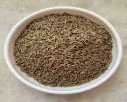ফিজার ফ্যাক্টরি থেকে ৪৪৪০ কেজি ভারতীয় জিরা উদ্ধার