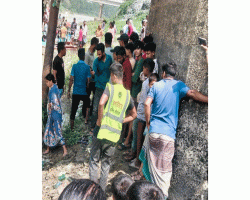 হবিগঞ্জে পৃথক দু র্ঘ ট না য় নারী-পুরুষের মৃ*ত্যু