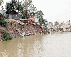 কালনী নদীর ভাঙ্গনে নি:স্ব শতাধিক পরিবার, আ*ত*ঙ্কে অসংখ্য মানুষ