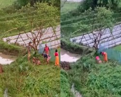 বৃদ্ধকে নির্মম নির্যাতন চুরির অপবাদে, ভিডিও ভাইরাল
