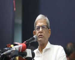 উচ্চকক্ষে পিআর ও সংবিধান সংস্কার পরিষদ নিয়ে যা বললে মির্জা ফখরুল