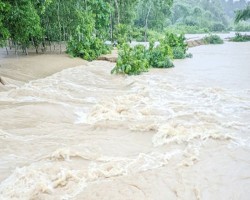 ৪৮ ঘণ্টার মধ্যে ১০ জেলায় বন্যার আভাস